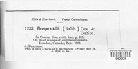 Image Associated With the Occurence